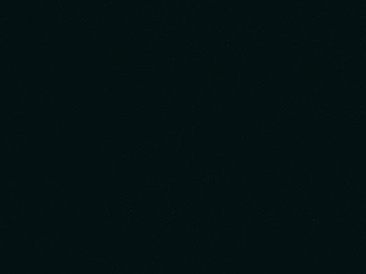 Nr. 994 Schwarz supermatt